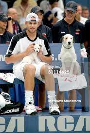 Pin On Meet Nipper And Chipper