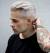 Ash Grey Silver Hair Men
