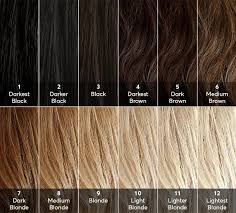African american and black hair types are very different. Going Gray Guide What Not To Do While Going Gray Naturally