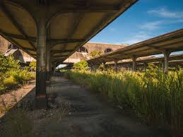 Book buffalo flights marked with no why you should book your new york to buffalo flight with expedia! Buffalo S Incredible Historic Train Station Architectural Afterlife