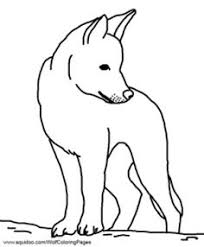 An undermount kitchen sink is installed under the counter, which creates a seamless look as there. 31 Australia Ideas Animal Coloring Pages Australian Animals Coloring Pages