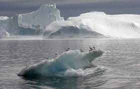 Ketika kebanyakan orang berpikir tentang pencairan es di kutub utara dan selatan, mereka secara otomatis memikirkan kenaikan permukaan laut. Cair Di Kutub Sebab Dan Akibat Meteorologi Rangkaian