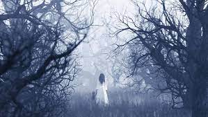 Mimpi dapat ikan mempunyai arti bahwa anda akan mendapatkan rezeki atau keberuntungan dimana sesuai besarnya ikannya juga semakin besar atau banyak anda mendapatkan ikan maka semakin besar juga rezeki yang anda dapat. Arti Mimpi Melihat Hantu Saat Tidur