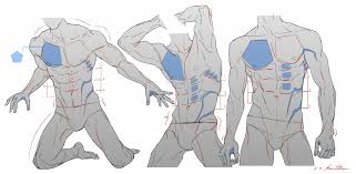 Body reference drawing body drawing art reference poses anatomy reference hand reference drawing faces drawing muscles hand drawings figure drawing. Pin On Male Anatomy