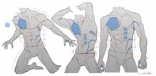 Bent over rows, pull ups, barbell shrugs, dumbbell rows and deadlifts. Muscular Male Body Drawing Novocom Top