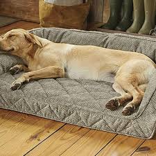 It's worth mentioning that cave dog beds are usually only suitable for small breeds (or cats). Best Dog Beds According To Dog Experts 2021 The Strategist New York Magazine