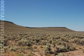 Image result for Little Catnip Spring - Sheldon Refuge Winnemucca NV