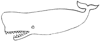 Sperm Whale Printable Coloring Page For Kids