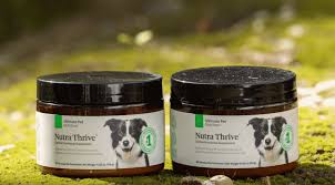Nutra thrive is a dog supplement that claims to offer a variety of ingredients that can help your dog fight aging, strengthen their digestive system, fortify dogs, cats, horses, and sheep regularly take the same medicines as wounded bipedals. Nutra Thrive For Dogs Review For Dogs Reviews