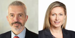 Latest Insights The Brief