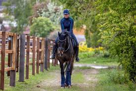 Dorothee schneider 1 місяць тому. Dorothee Schneider Zuruck Im Sattel Szene News Reiterrevue International