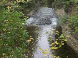 Kankakee river state park, bourbonnais, illinois. 100 1438 Jpg Picture Of Kankakee River State Park Bourbonnais Tripadvisor