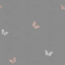 Looking for the best wallpapers? Animal Bird And Butterfly Wallpaper Bird Wallpaper Butterfly Wallpaper