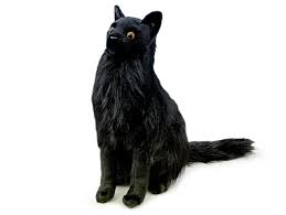 Image result for monika babi%u0161ov 