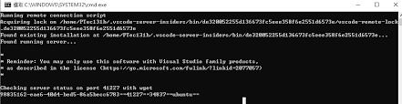 How to setup remote desktop connection in windows 10. Could Not Establish To Remote After Updating Win10 To 10 0 18362 Issue 1152 Microsoft Vscode Remote Release Github