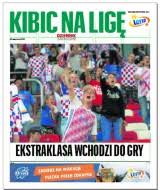 W herbie hiszpanii znajdują się godła królestw, które w czasach średniowiecznych zjednoczyły się w walce wyzwoleńczej przeciwko maurom (tzw. Ekstraklasa Herby Artykuly Dziennik Zachodni