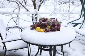 Damit ihr garten auch im winter noch schön ist, müssen sie keine besonderen anstrengungen unternehmen. Sind Terrasse Und Balkon Winterfest Bild 12 Schoner Wohnen