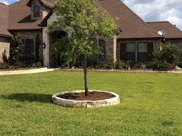 The group's impressive growth since 2005 has been driven by a new, successful and viable business model characterised by medium to long term value creation for. Lumberjack Tree 59 Photos Landscape Company 12715 Fenimore Ct Sugar Land Tx 77478