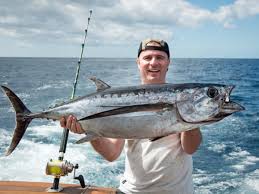 A clause is a group of words containing a i include many example sentences. Tuna Fishing Top Species And Where To Catch Them