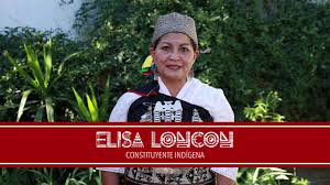 en vivo constituyente mapuche elisa loncón: Elisa Loncon Constituyente Indigena