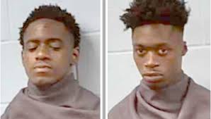 Teenagers try to flee police, wreck stolen vehicle