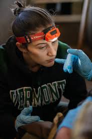 Could beavers be the secret to winning the fight against wildfires?