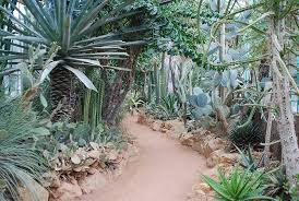 Les collections extérieures sont accessibles tous les jours de 9h à 17h. Jardin Botanique De Lyon Parc De La Tete D Or Lyon 69 Rhone Auvergne Rhone Alpes France