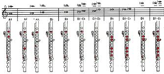 Pin On Flute