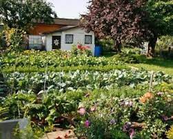 Wenn du durch das eingangstor trittst, bist du in eine andere welt bzw. Garten Mieten In Weilimdorf Stuttgart Ebay Kleinanzeigen