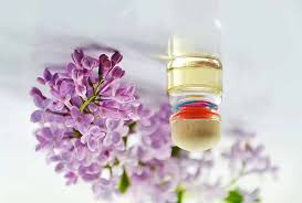 Image result for Sphaeranthus flexuosus