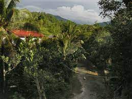 Pemandian air panas ciparay di bangun tahun 2002, berarti sudah belasan tahun objek wisata air panas ini dibangun. Wikiloc Picture Of Cipanas Jasinga Round 5 6