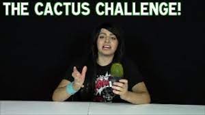 Entry for the 19th annual cactus challenge is taking place now! These Youtubers Thought It Was A Great Idea To Eat A Whole Cactus Digg