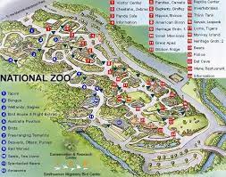 The National Zoo In Washington D C I Love Coming Here And Seeing The Animals Washington Dc Zoo Dc Zoo Fall Vacations
