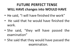 future perfect tense examples