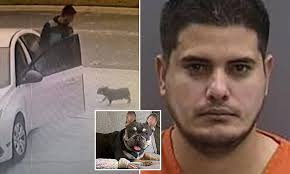 Amazon delivery driver is arrested after stealing $4,000 French bulldog  from customer while out making deliveries in Florida neighborhood