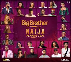So how do you get to stream big brother naija online. Ex Big Brother Naija Housemates Wondering What They Have Been Up To Bellanaija
