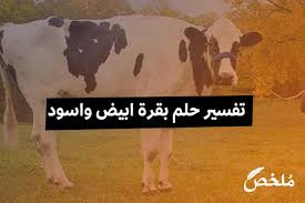 1 تفسير حلم الثور يطاردني أو يهاجمني في المنام. ØªÙØ³ÙŠØ± Ø­Ù„Ù… Ø±Ø¤ÙŠØ© Ø§Ù„Ø¨Ù‚Ø±Ø© Ø§Ù„Ø³ÙˆØ¯Ø§Ø¡ ÙˆØ§Ù„Ø¨ÙŠØ¶Ø§Ø¡ Ø§Ù„Ø£ÙØ¶Ù„