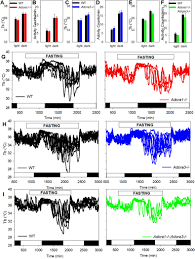 Read more hamster picture 835 1000 jpg : Hypothermia In Mouse Is Caused By Adenosine A1 And A3 Receptor Agonists And Amp Via Three Distinct Mechanisms Abstract Europe Pmc