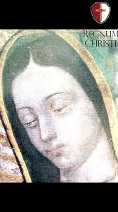 Short Virgen Guadalupe: Padre Raúl López Orozco