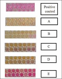 Sample free malaysia deals and hire professional services on alibaba.com. Morinaga Malaysia Free Sample Preferential Certificate Of Origin Feel Free To Provide Any Feedback Towards Our Products And Services Mio Busba