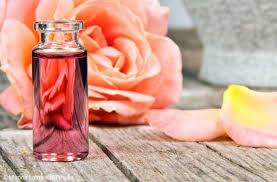 Die wunderschöne rose verhilft auch dir zu schöner haut. Diy Rosenwasser Naturliche Feuchtigkeitspflege Fur Ihre Haut Gesunex