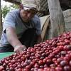 Imagen de la noticia para Nescafé de Turquesa News