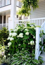 25 Awesome White Garden Ideas With White Flower Collection In Your Garden Freshouz Com Hydrangea Landscaping Front Yard Landscaping House Landscape
