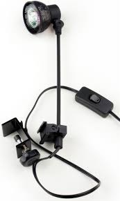 Display Light 35 Watt Halogen Lamp With Clamp
