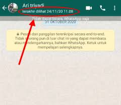 Ini dikarenakan sebagian orang tidak ingin di ketahui kapan ia terakhir online atau sedang online diketahui oleh orang lain. Jitu Banget 2 Cara Agar Wa Terlihat Offline Padahal Online Www Arie Pro