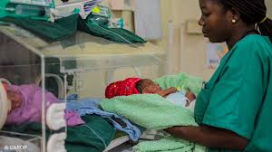 Image result for Neonatal Sepsis