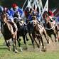 Horse Racing Calendar - 2025 Barbados Turf Club event image