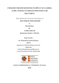 Image result for Dichilus reflexus