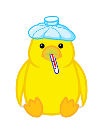 Various types of poultry diseases can cause serious loss in the poultry farming business. Module 3 Common Poultry Diseases And Prevention Methods Indiana State Poultry Association