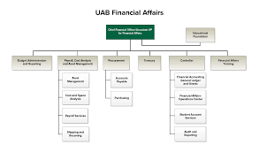 Organizational Chart Financial Affairs Uab